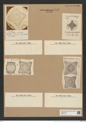 Triceratium biquadratum Jan. (de-Toni-Nr.: Genus 137, Species 3657) Zeichnungen Sammlung Grunow Nr. 7145 (NHMW-BOT-W0376115)